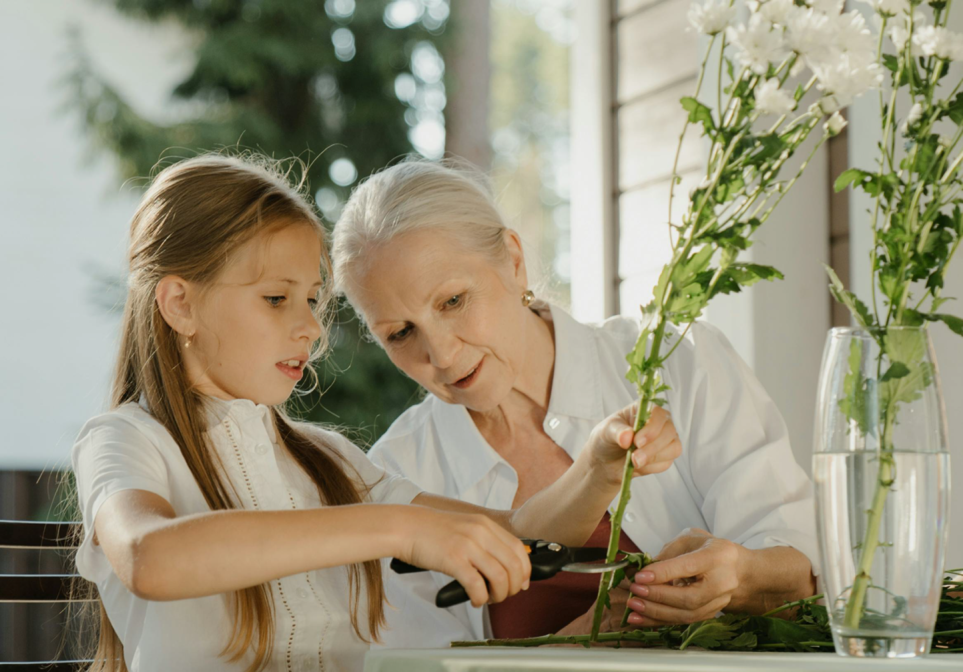 Peut-on transmettre un bien immobilier directement à un petit-enfant ?